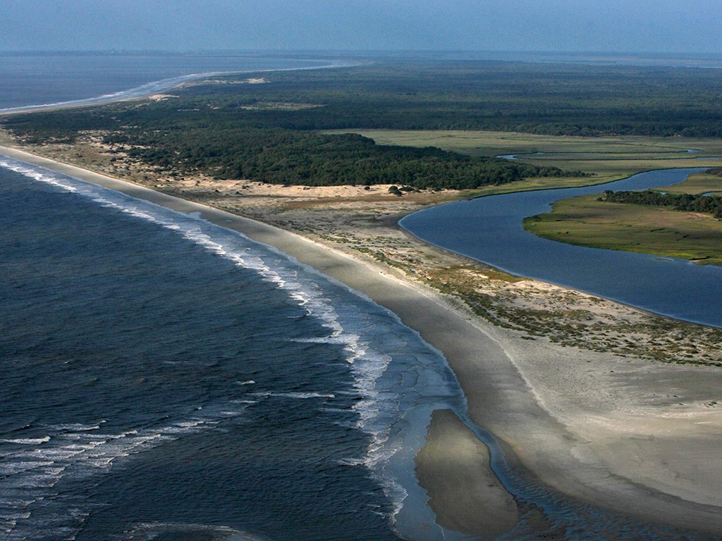 Cumberland Island, Georgia